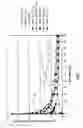 Fig. 02 - SYSTEMS AND METHODS FOR EFFECTING CESSATION OF TOBACCO USE