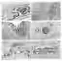 Fig. 01 - Diagnostic and therapeutic methods based on the L1 adhesion molecule for ovarian and endometrial tumors