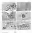 Fig. 02 - Diagnostic and therapeutic methods based on the L1 adhesion molecule for ovarian and endometrial tumors