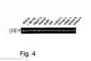 Fig. 05 - Diagnostic and therapeutic methods based on the L1 adhesion molecule for ovarian and endometrial tumors