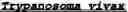 Fig. 43 - Identification and characterization of novel proline racemases and hydroxyproline-2-epimerases, uses thereof, and methods of identifying proline racemases and hydroxyproline-2-epimerases