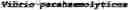 Fig. 45 - Identification and characterization of novel proline racemases and hydroxyproline-2-epimerases, uses thereof, and methods of identifying proline racemases and hydroxyproline-2-epimerases