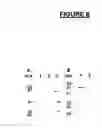 Fig. 09 - Modified leukotoxin protein