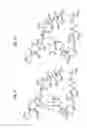 Fig. 07 - Macrocyclic lactone compounds and methods for their use