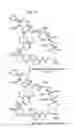 Fig. 43 - Macrocyclic lactone compounds and methods for their use