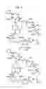 Fig. 44 - Macrocyclic lactone compounds and methods for their use