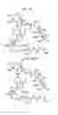 Fig. 45 - Macrocyclic lactone compounds and methods for their use