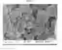 Fig. 08 - Temperature-Sensitive Nanoparticles for Controlled Drug Delivery