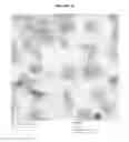 Fig. 09 - Temperature-Sensitive Nanoparticles for Controlled Drug Delivery