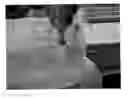 Fig. 01 - Degradable chewing gum