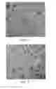 Fig. 04 - Degradable chewing gum