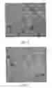 Fig. 06 - Degradable chewing gum