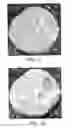 Fig. 22 - Degradable chewing gum