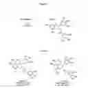 Fig. 06 - Methods of reducing reactive carbonyl species