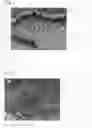 Fig. 02 - Process for producing multifunctional material