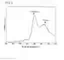 Fig. 06 - Process for producing multifunctional material