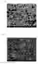 Fig. 07 - Honeycomb structured body, method for manufacturing honeycomb structured body and honeycomb structured body manufacturing apparatus