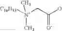 Fig. 40 - Information carrier precursor and information carrier produced therewith