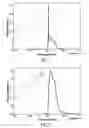 Fig. 02 - Fluorescent lamp having a UVB phosphor