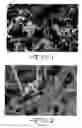 Fig. 02 - Preparation of cathode active material by hydrothermal reaction
