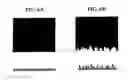 Fig. 07 - Toner for developing latent electrostatic image, container having the same, developer using the same, process for developing using the same, image-forming process using the same, image-forming apparatus using the same, and image-forming process cartridge using the same