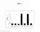 Fig. 02 - METHODS AND COMPOSITIONS FOR ASSESSING IL-12 OR THE NEUTRALIZATION OF IL-12 IN A SAMPLE