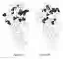 Fig. 06 - Mutants of Staphylococcal Mrs and Methods of Use