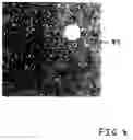 Fig. 09 - Identification of blood elements using inverted microscopy