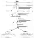 Fig. 01 - Methods for Cloning Nucleic Acids in a Desired Orientation