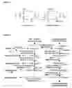 Fig. 02 - OPTIMISATION OF CULTURE CONDITIONS FOR PRODUCTION AND PROCESS OF PURIFICATION OF HIGH MOLECULAR WEIGHT HYALURONIC ACID