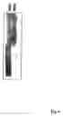 Fig. 05 - Hepadna virus core proteins as vaccine platforms and methods of use thereof
