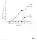 Fig. 08 - Hepadna virus core proteins as vaccine platforms and methods of use thereof