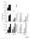 Fig. 13 - Hepadna virus core proteins as vaccine platforms and methods of use thereof