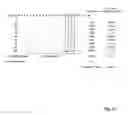 Fig. 24 - Hepadna virus core proteins as vaccine platforms and methods of use thereof
