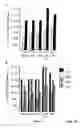 Fig. 31 - Hepadna virus core proteins as vaccine platforms and methods of use thereof
