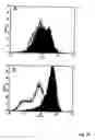 Fig. 35 - Hepadna virus core proteins as vaccine platforms and methods of use thereof