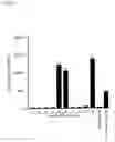 Fig. 06 - Optimizing expression of active Botulinum Toxin type E