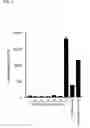 Fig. 07 - Optimizing expression of active Botulinum Toxin type E