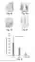 Fig. 08 - Methods for Inhibiting Melanocyte Stem Cell Loss