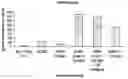 Fig. 01 - Method of expressing recombinant protein in CHO cells