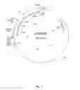 Fig. 02 - Regulating metabolism by modifying the level of trehalose-6-phosphate