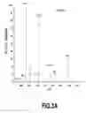 Fig. 06 - Method of mass spectrometric analysis of saccharides with aldehyde groups using labels containing a pyrene ring and a hydrazide group