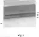 Fig. 06 - Method for improved formation of nickel silicide contacts in semiconductor devices