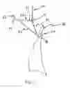 Fig. 04 - Curved Asymmetrical Gambrel