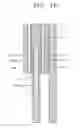 Fig. 11 - Magnetic levitation sliding structure