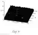 Fig. 05 - Glass ceramic panel with a pleasing black decoration applied with a decorative paint