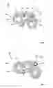 Fig. 02 - CATALYST  FOR PURIFICATION OF EXHAUST GAS