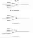 Fig. 09 - Method of Identifying Sugar Chain Structure and Apparatus For Analyzing the Same