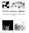 Fig. 02 - Bioanalytical reagent, method for production thereof, sensor platforms and detection methods based on use of said bioanalytical reagent