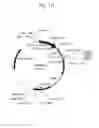 Fig. 02 - Secreted proteins and polynucleotides encoding them